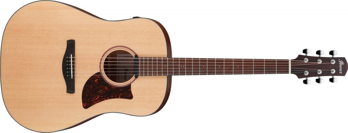 Ibanez AAD100E-OPN Open Pore