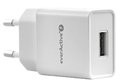 everActive Ładowarka sieciowa everActive SC-100 1xUSB 1A SC100