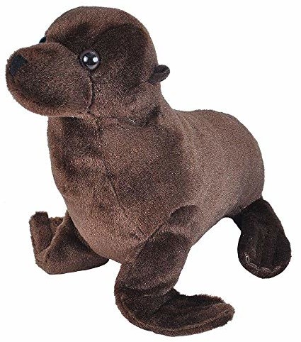 Wild Republic 22459 olejek morski, Cuddlekins przytulanka zwierzątko pluszowe 20 cm, Multi 22459