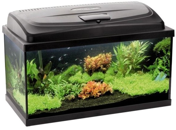 Aquael Akwarium proste, zestaw akwarystyczny Aqua4Start AQUA SZUT, 60 cm