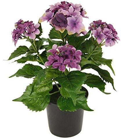 Flair Flower Hortensja w doniczce, poliester, tworzywo sztuczne 087515V