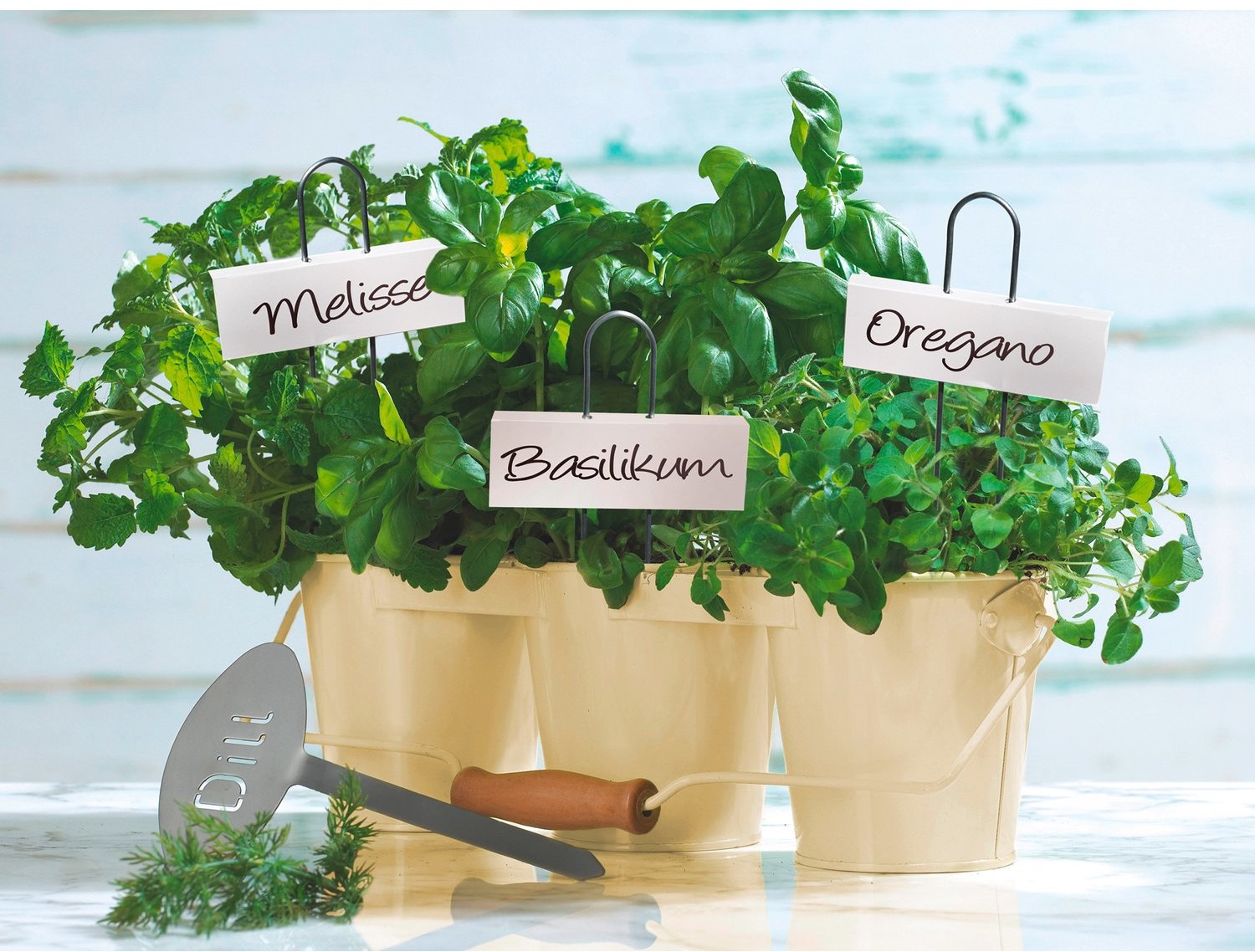 OBI OBI Etykiety do opisu roślin białe 5 sztuk