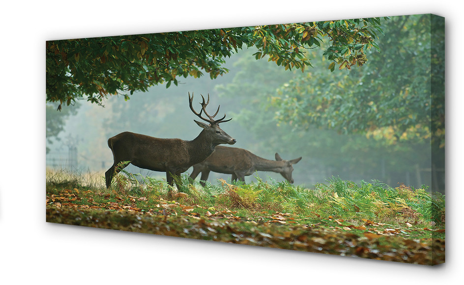 PL Tulup Obrazy na płótnie Jeleń las jesień 125x50cm