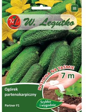 Legutko Ogórek partenokarpiczny PARTNER F1