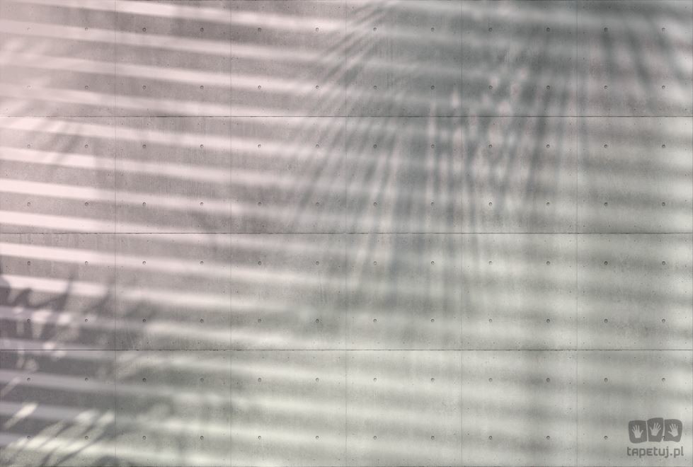 Komar Fototapeta Shadows XXL4-059 XXL4-059