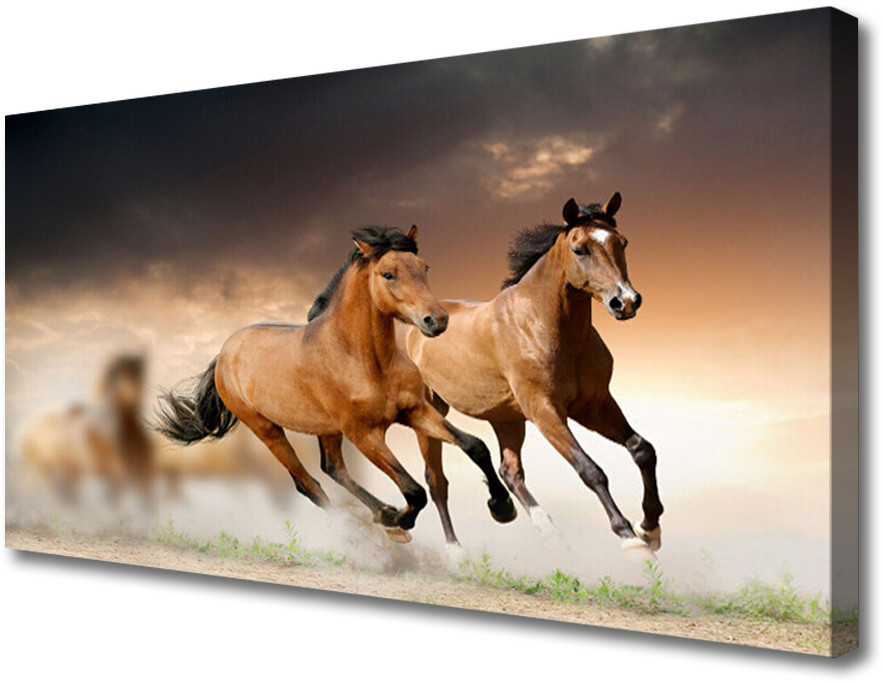 PL Tulup Obraz na Płótnie Konie Zwierzęta 125x50cm