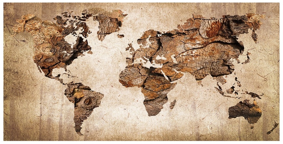 Foto obraz akryl Mapa świata drewno