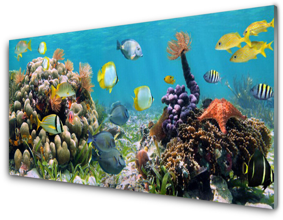 Tulup.pl Panel Kuchenny Rafa Koralowa Natura 100x50cm