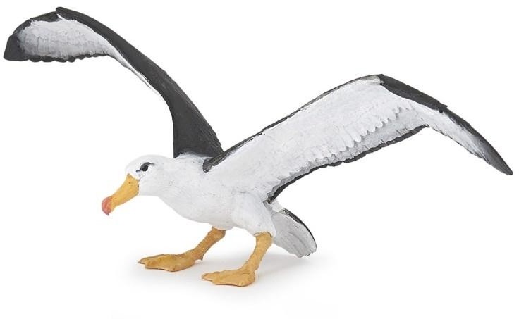 PAPO Albatros