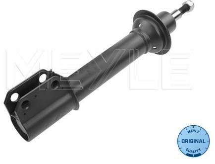 Wulf Gaertner Autoparts Amortyzator Wulf Gaertner Autoparts 16-26 613 0008
