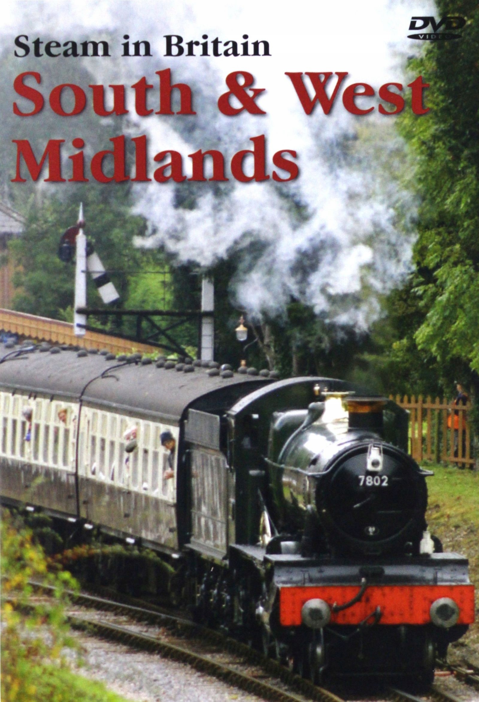 Steam In Britain South And West [DVD]