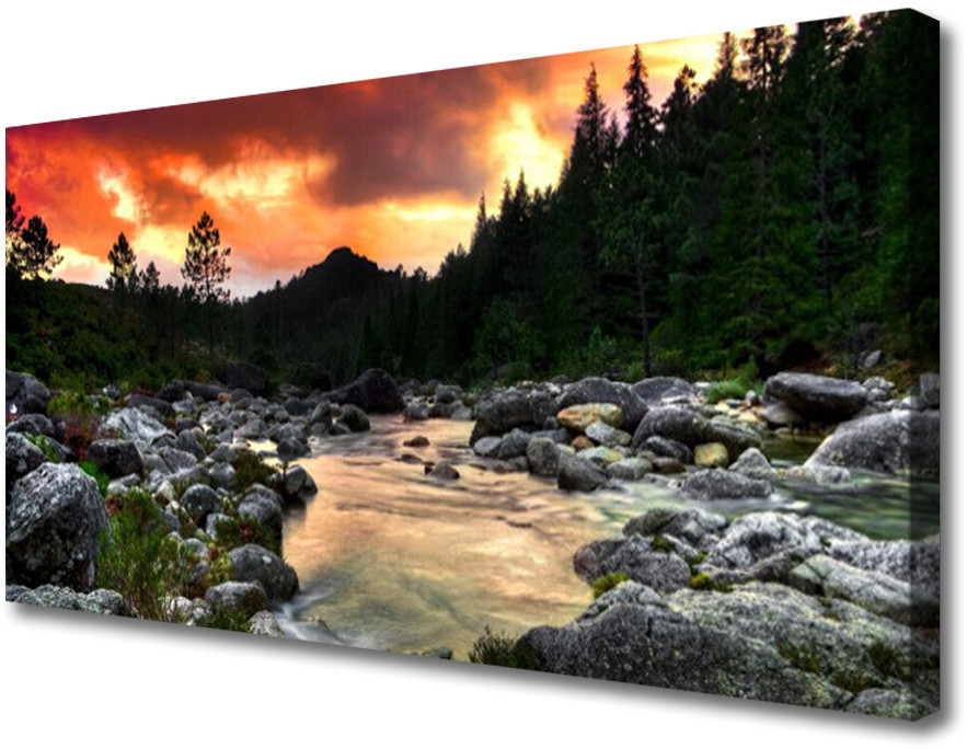 PL Tulup Obraz Canvas Jezioro Rzeka Las Natura 120x60cm