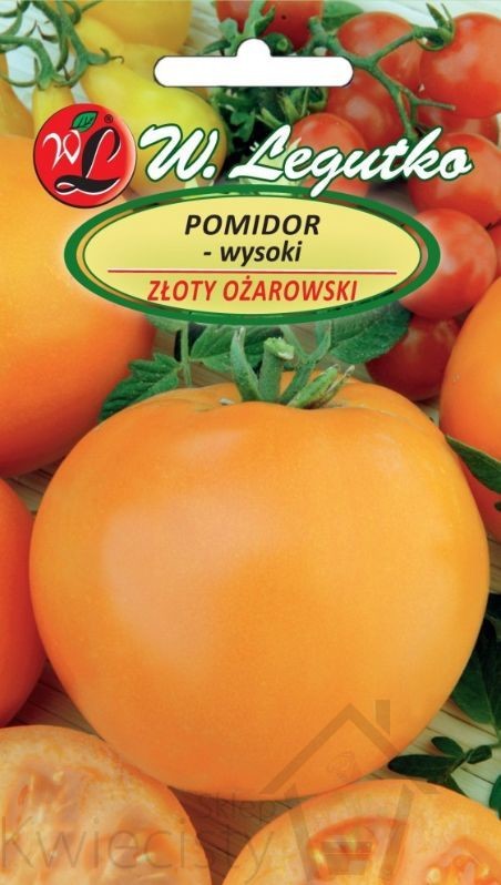 Legutko sp. z o.o Nasiona Pomidor gruntowy wysoki Złoty Ożarowski