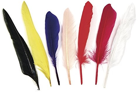Rayher Hobby Rayher 8528549 worek Indian sprężyny, 17,5 cm, 75 sztuk, mieszane 8528549