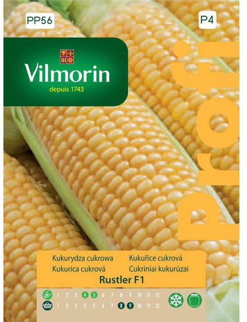 Vilmorin Kukurydza cukrowa RUSTLER F1