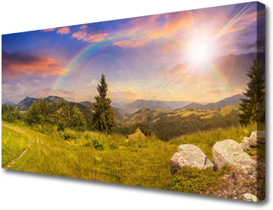 PL Tulup Obraz Canvas Góry Łąka Natura Niebo 100x50cm