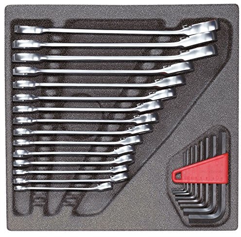 Gedore Red r22250001 ring zestaw kluczy płasko-i zestaw wkrętaków kątowych grzechotkowych pianka w 2/3 Module, 24-częściowy