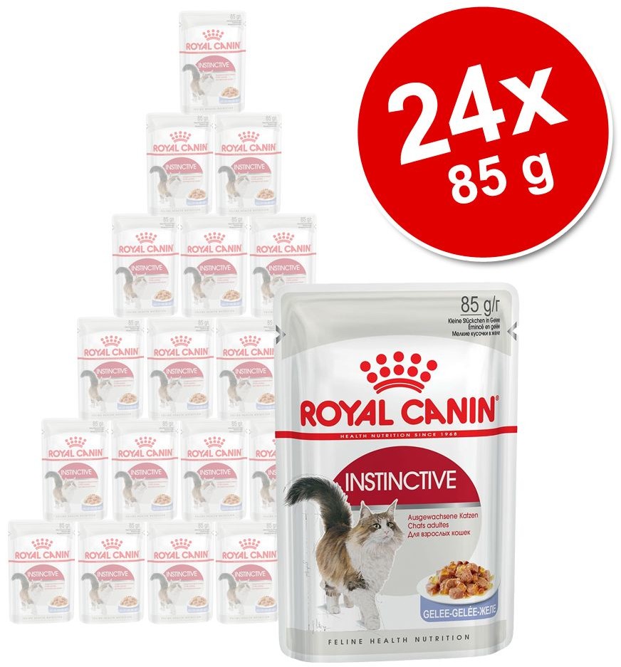 Royal Canin Kitten Loaf Mousse 24 x 85 g