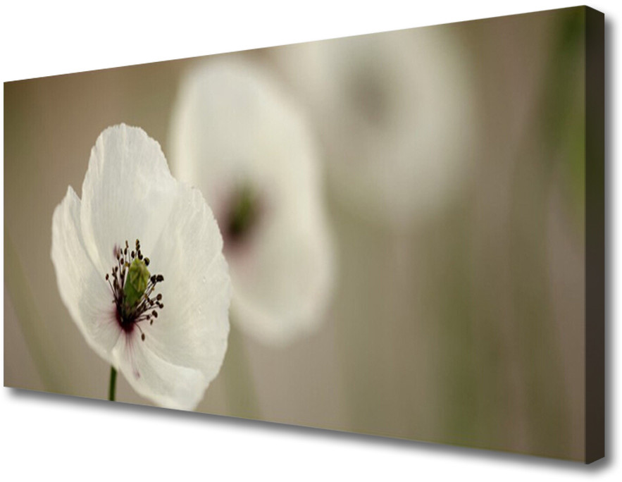 PL Tulup Obraz Canvas Kwiat Roślina Natura 120x60cm