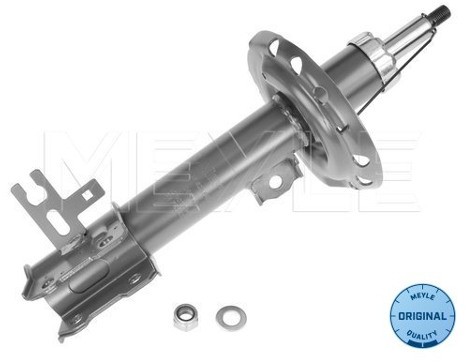 Wulf Gaertner Autoparts Amortyzator Wulf Gaertner Autoparts 626 623 0014