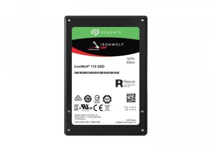 Seagate IronWolf 110 480GB (ZA480NM10011)