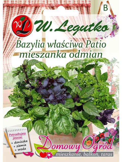 Legutko Bazylia właściwa Patio MIESZANKA ODMIAN