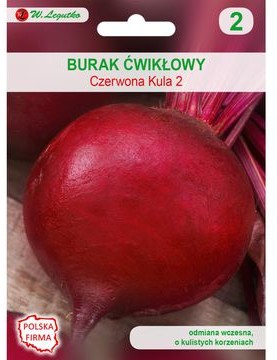 Legutko Burak ćwikłowy CZERWONA KULA 2