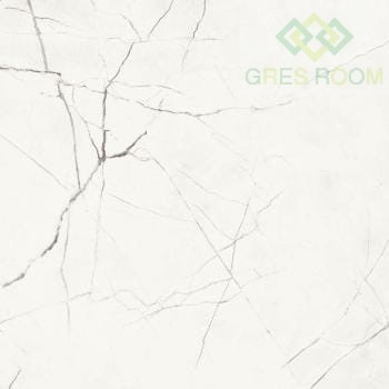 Imola Ceramica Statuario Venato STA VP6 120 RM 120x120 STA VP6 120 RM