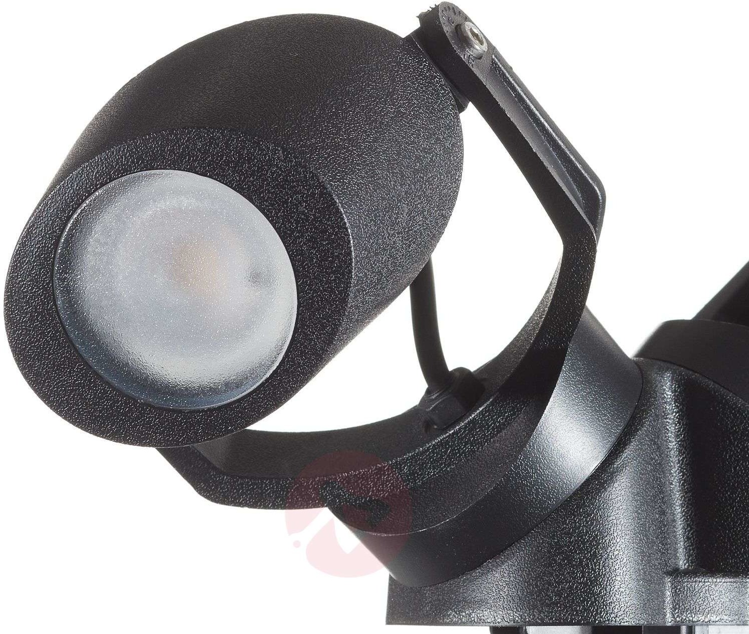 Fumagalli Spot Minitommy 2-pkt. CCT czarny/matowy