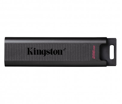 Kingston DTMAX/256GB