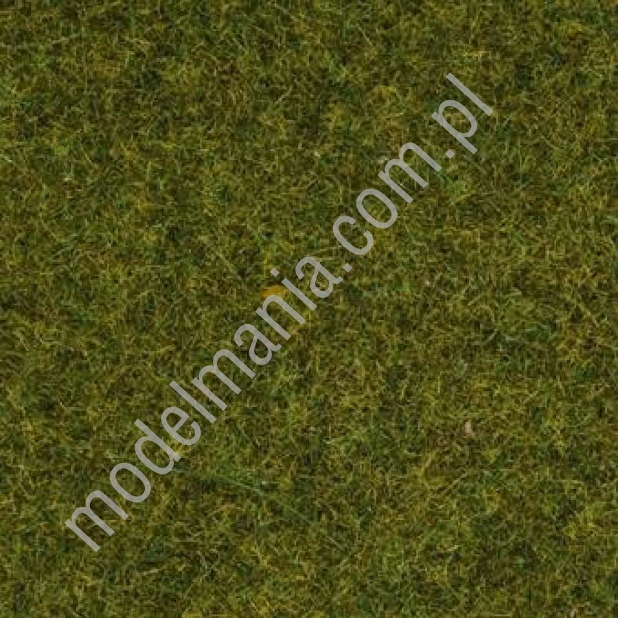 NOCH Podsypka statyczna, trawa wiosenna 2,5mm / 20g 08312