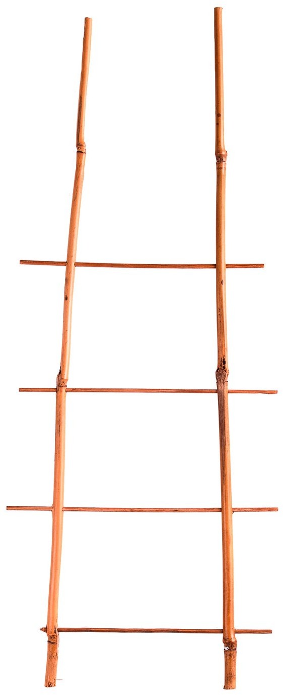gockowiak Drabinka bambusowa podwójna 45 cm