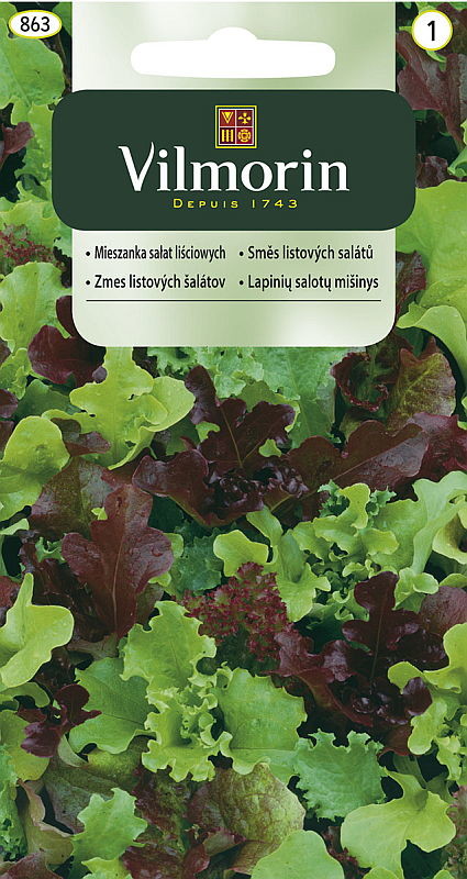 Vilmorin Mieszanka sweet Mesclun na kiełki 500mg