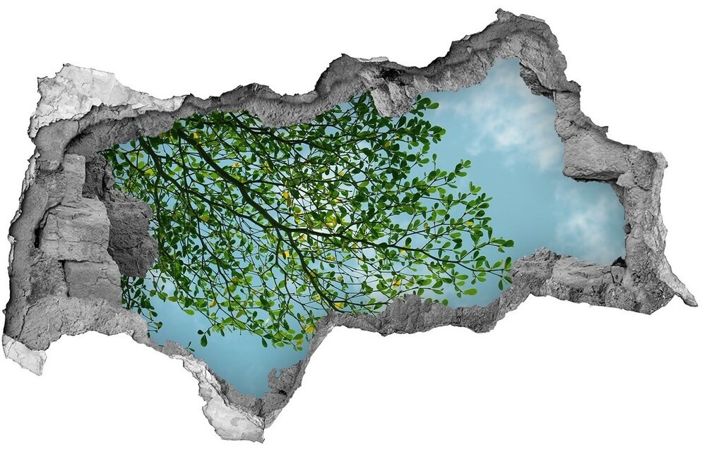 Wallmuralia.pl Dziura 3d w ścianie naklejka Liście na niebie