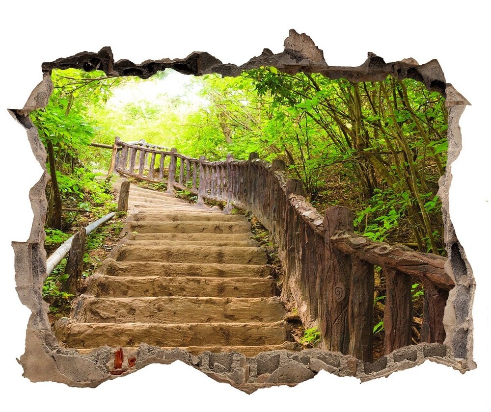 Wallmuralia.pl naklejka fototapeta 3D widok Schody w lesie