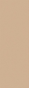 Paradyż NOISY WHISPER GOLD STRUKTURA REKT POŁYSK 39,8X119,8 NOISY WHISPER GOLD STRUKTURA REKT POŁYSK 39,8X119,8