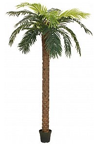 Europalms EUROPALMS Phoenix Deluxe, sztuczna roślina palmowa, 250 cm 82509724
