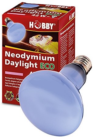 Hobby neodym Daylight Eco, 70 W