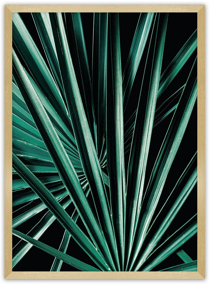 Dekoria Dekoria Plakat Dark Palm Tree 50 x 70 cm Ramka Złota 222H-000-18