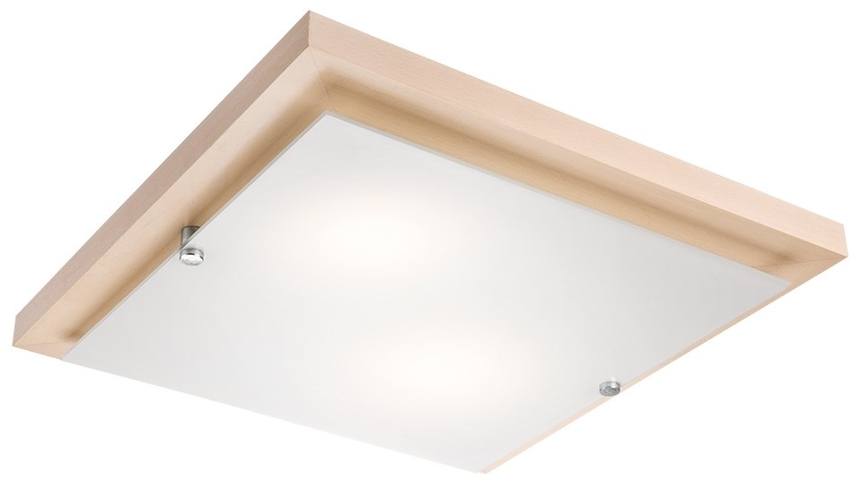 Lamkur LED Plafon 1xLED/24W/230V