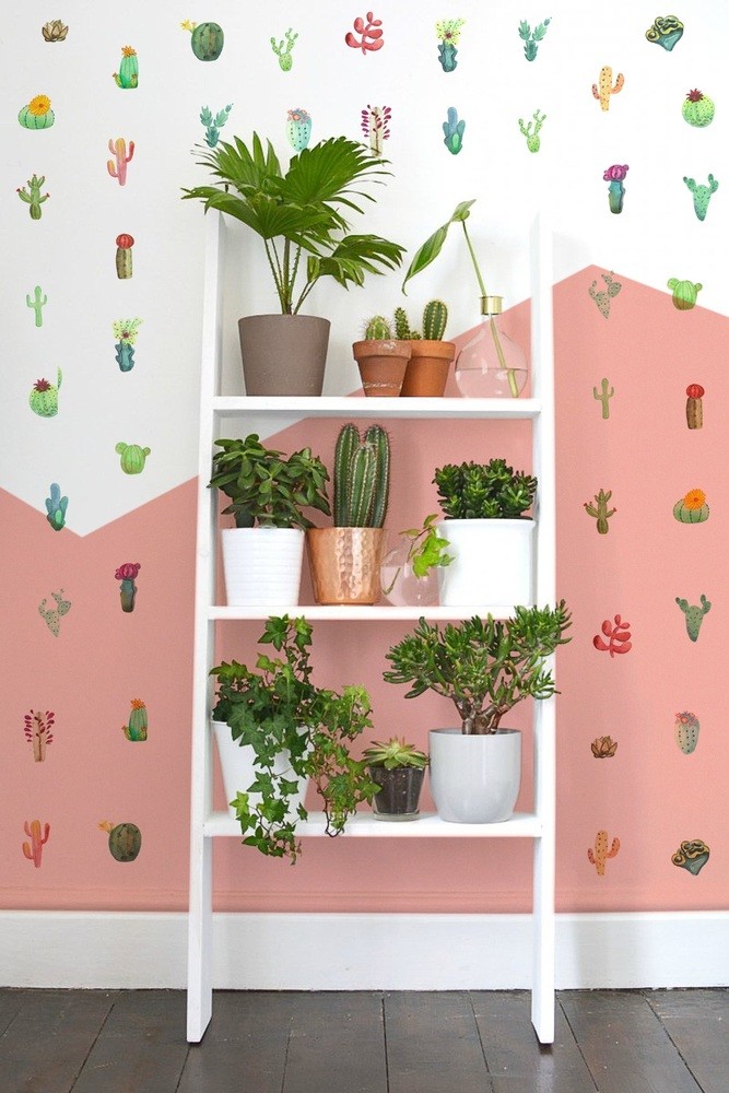 Coloray.pl Naklejki na Ścianę Kaktusy Mix BubbleFree