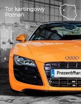 Jazda za kierownicą Audi R8 V10  Tor kartingowy Poznań P0000886