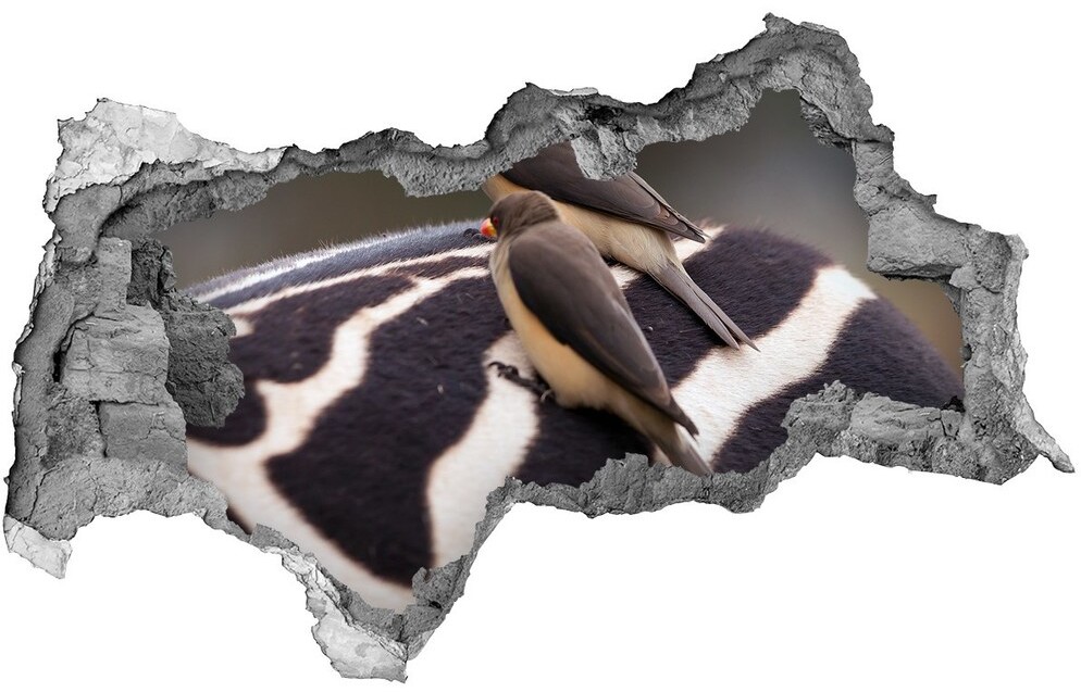 Wallmuralia.pl Dziura 3d fototapeta naklejka Ptaki i zebra
