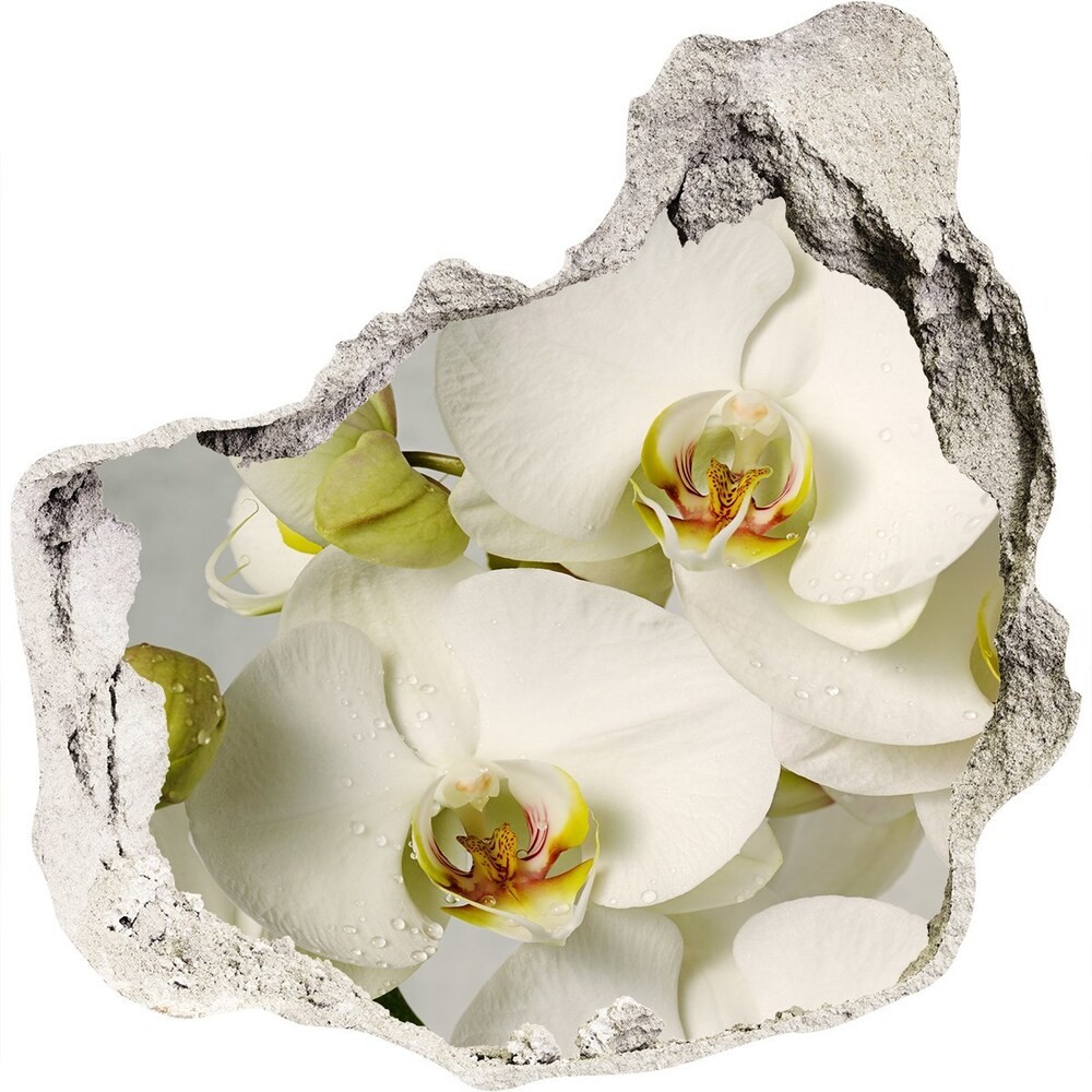 Wallmuralia.pl Samoprzylepna dziura naklejka Biała orchidea