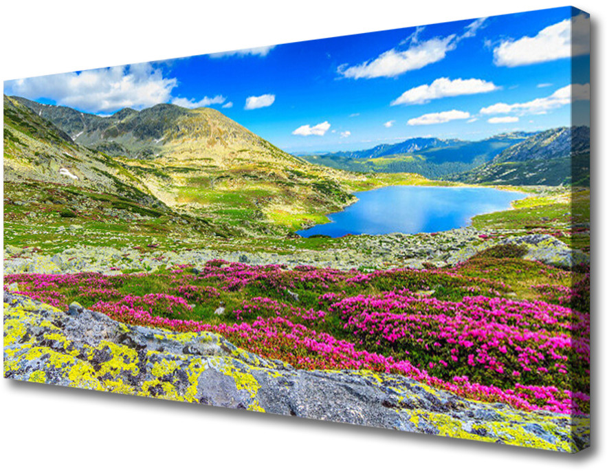 PL Tulup Obraz na Płótnie Góra Zatoka Łąka Natura 100x50cm