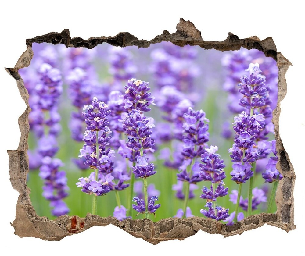 Wallmuralia.pl Samoprzylepna naklejka na ścianę Lawenda