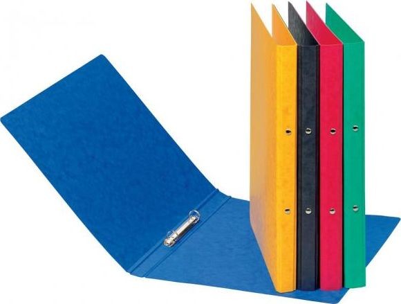 Pagna Segregator Pagna 2-ringowy A4 16mm żółty 44096-05 44096-05