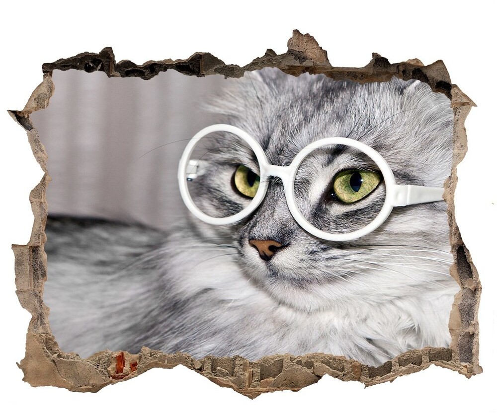 Wallmuralia.pl Dziura 3d fototapeta  naklejka Kot w okularach