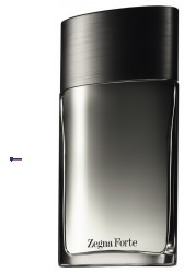 Zegna Forte woda toaletowa 100ml