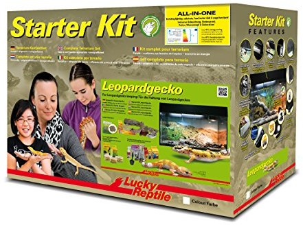 Lucky Reptile zestaw startowy terrarium kompletny zestaw, czarny